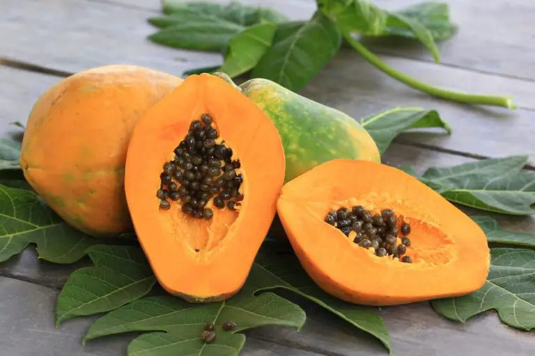 15 Migliori Ricette con Papaya che si Possono Preparare a Casa.