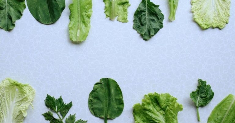 Guida alle Verdure a Foglia Stretta: Tipi, Benefici Nutrizionali e Cucina